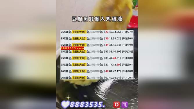 新澳2024今晚开奖资料,全景方案精准解答_进程版64.58.29