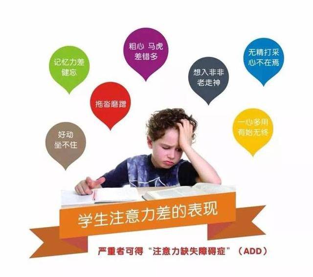 孩子通过日常任务培养责任感与挑战勇气，学会主动承担与挑战的实践之路