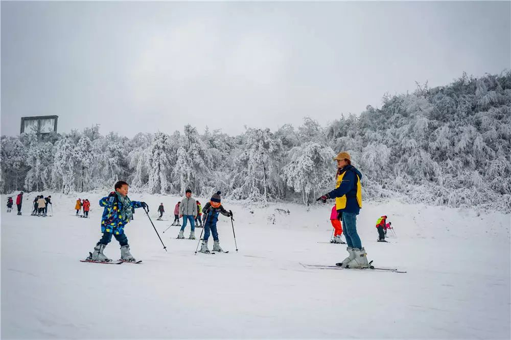 高山滑雪场，雪道飞驰的极致享受