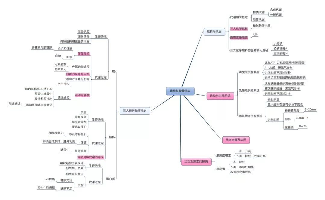 知识图谱在引导学习过程中的思维作用，深度解析与启示