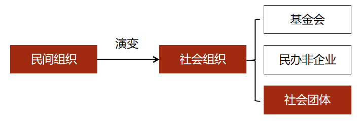 社会团结与分裂的对比研究