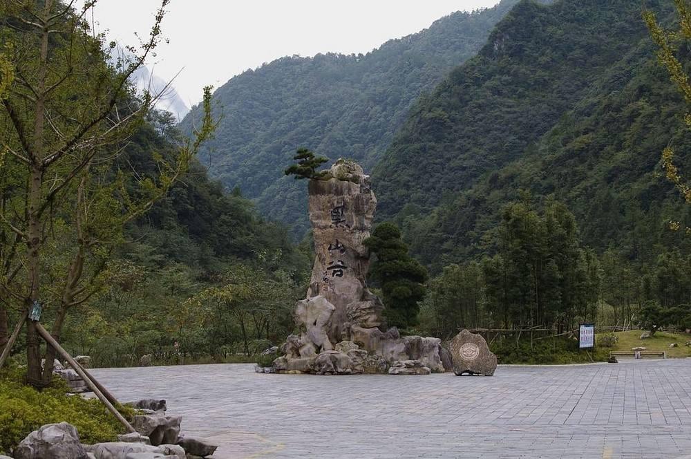 原始森林野生动植物奇遇，亲密接触之旅