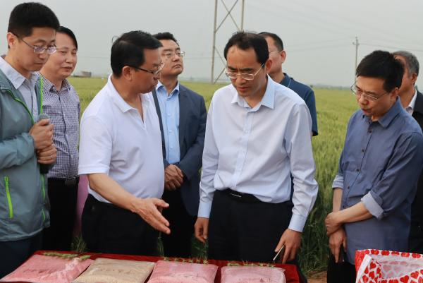 绿色种植理念引领生态农业示范区扩展，生态理念深入人心