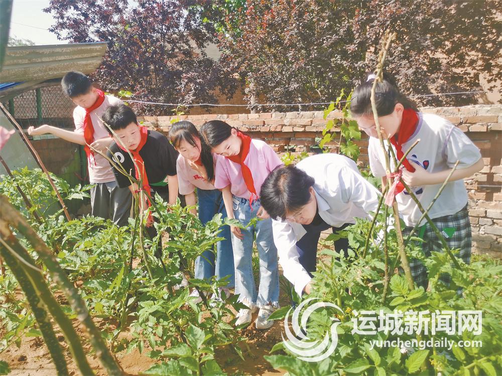 学生劳动教育课程的推行与实践能力提升显著