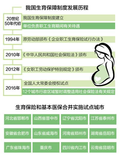 社区宠物医疗站试点与本地化养宠服务重塑宠物护理未来