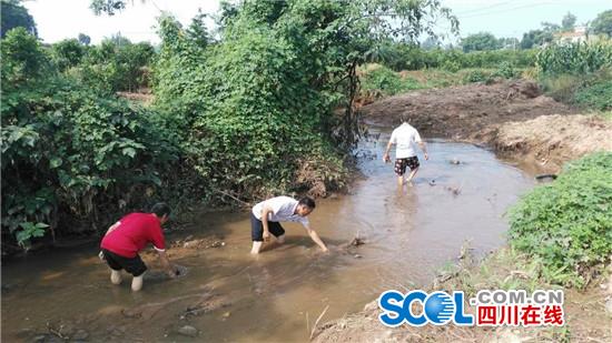 多地河流治理见成效，水质改善初露曙光