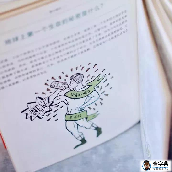 如何激发孩子的好奇心，推荐书籍一览表