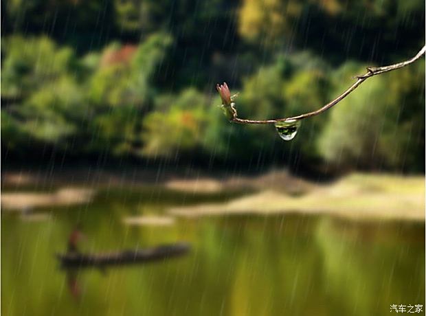 梅雨季节家庭防潮秘籍，干爽生活的艺术技巧