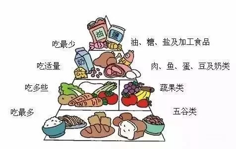 现代都市生活的健康之路，寻找健康饮食与快节奏生活的平衡点