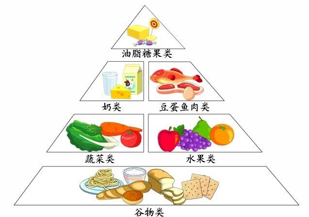 如何在日常生活中实现健康饮食与工作效率的平衡之道