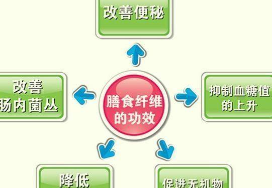 健康餐饮行业中的食品追溯技术应用及其深远影响