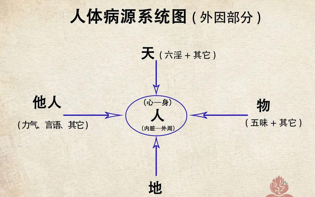 天人合一对养生的启示——中医视角的解读