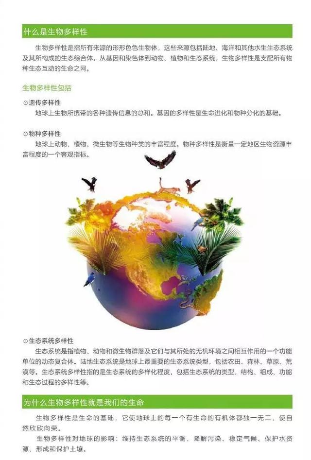 全球生物多样性保护的难点及对策解析