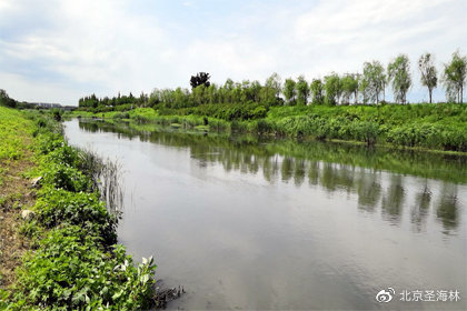 多地协同优化水环境治理，河流生态显著好转