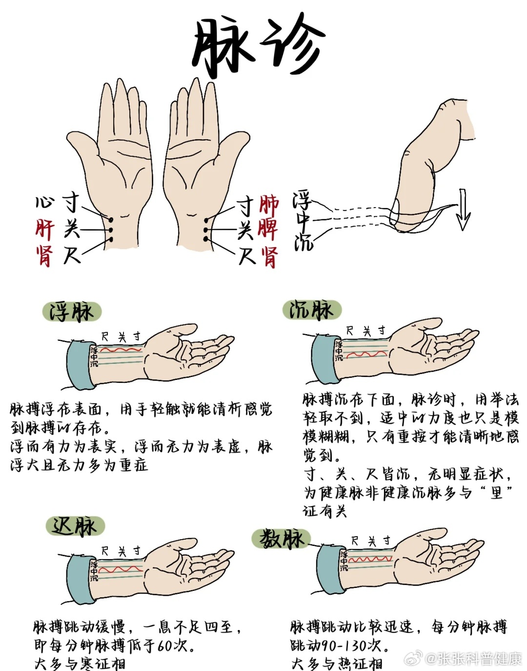 中医养生之脉诊与健康预警的奥秘