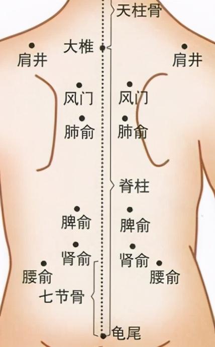 中医改善贫血与气虚问题的方法探究