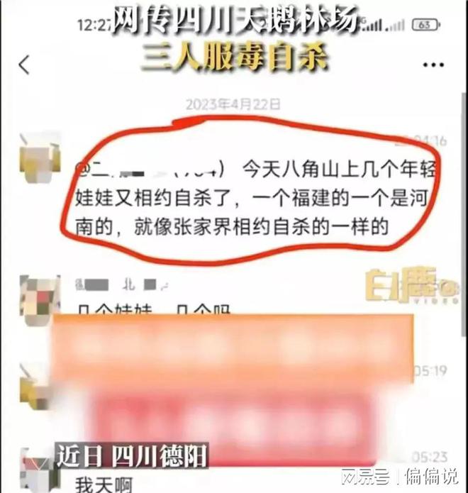 积极心态，迎接生活挑战的挑战