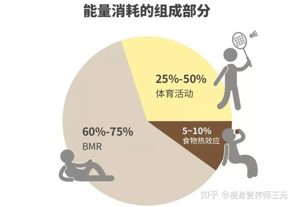 如何通过饮食调节改善身体代谢功能