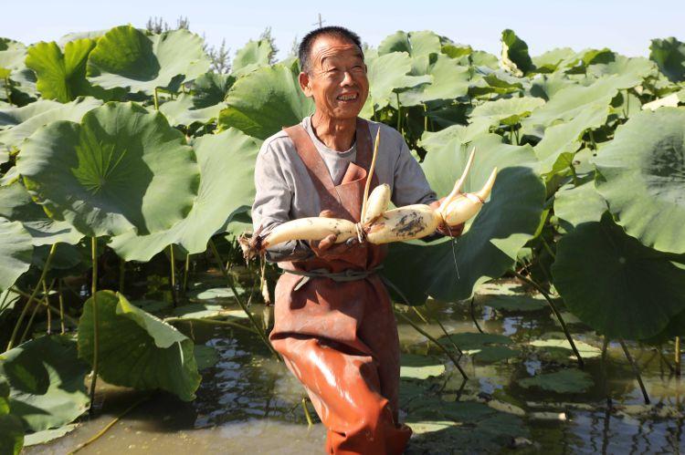 社区集体种植项目，如何提升邻里互动与团结？